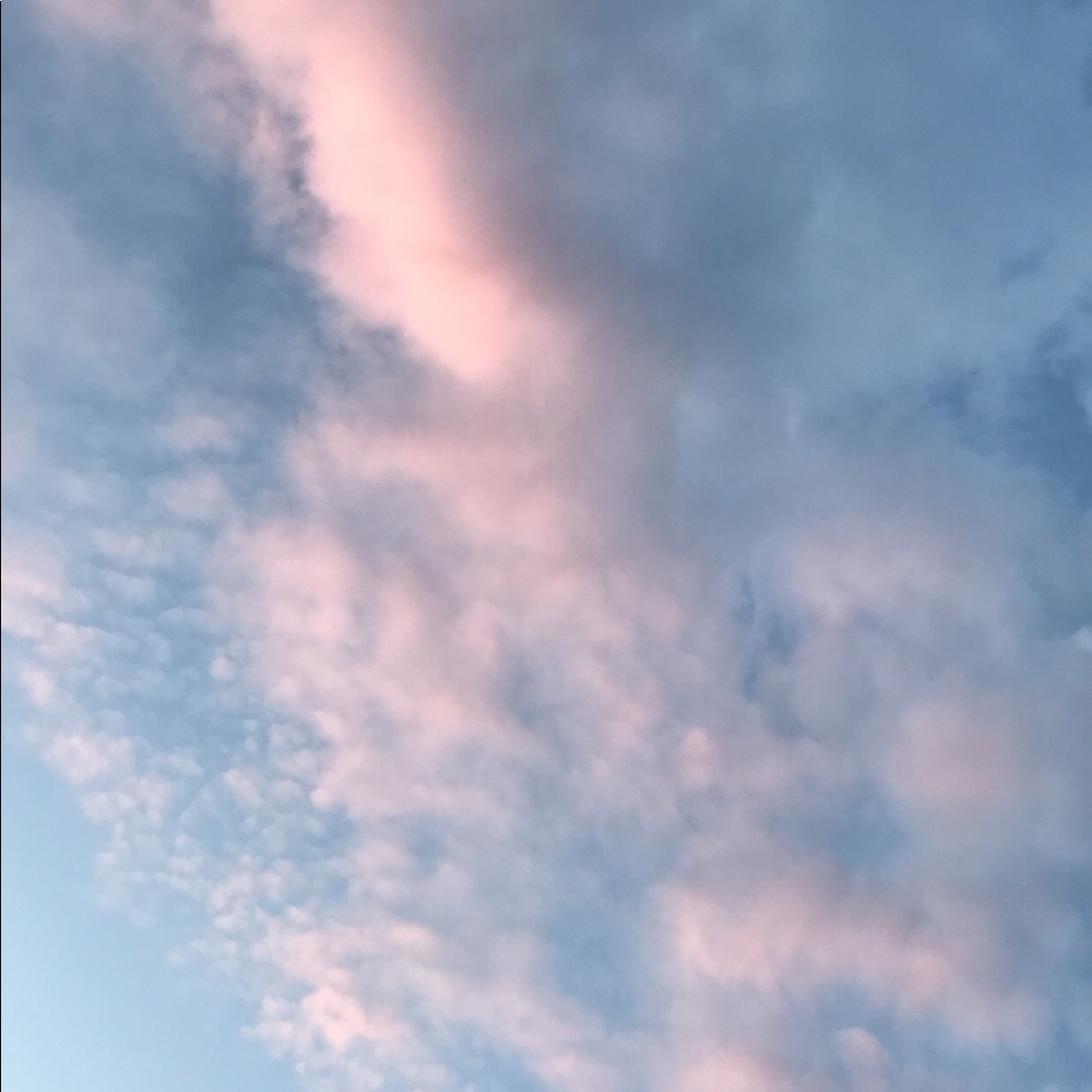 Meet your Posher, Liv